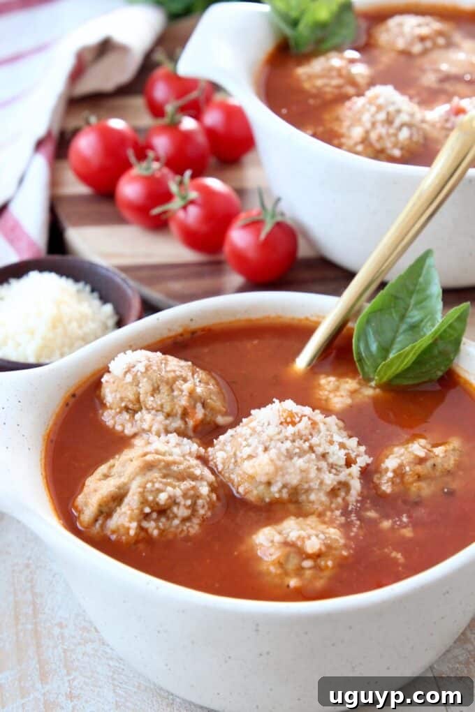 Meatball soup in bowl with basil leaves on the side
