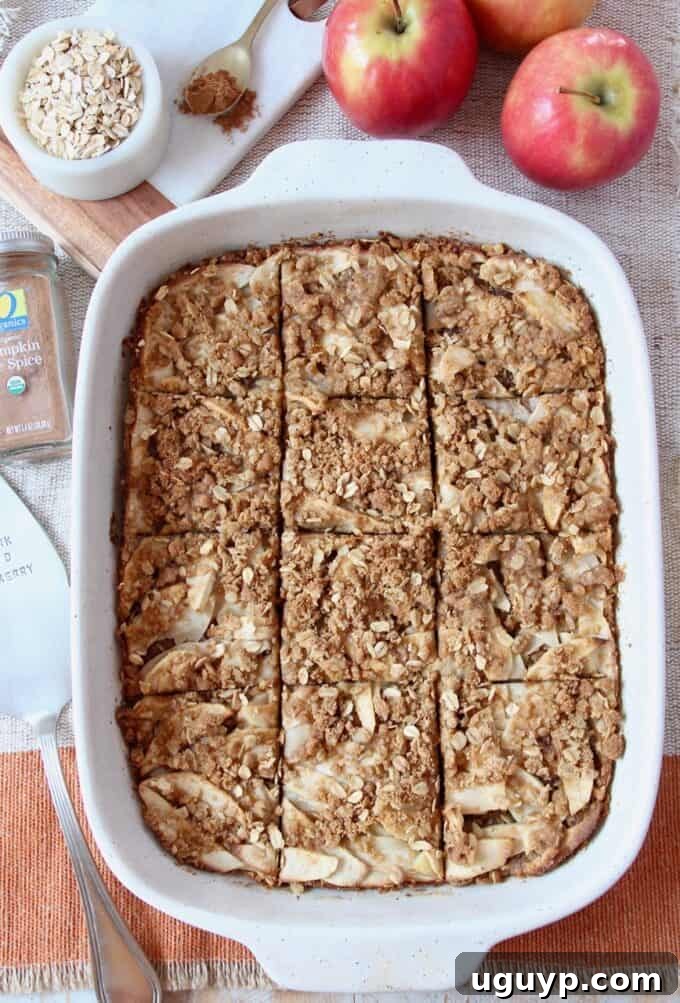 An overhead view of freshly baked pumpkin spice apple oatmeal bars in a glass baking dish, beautifully sliced into individual portions.