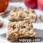 A single delicious apple oatmeal bar presented on a silver pie server, ready to be taken and enjoyed.