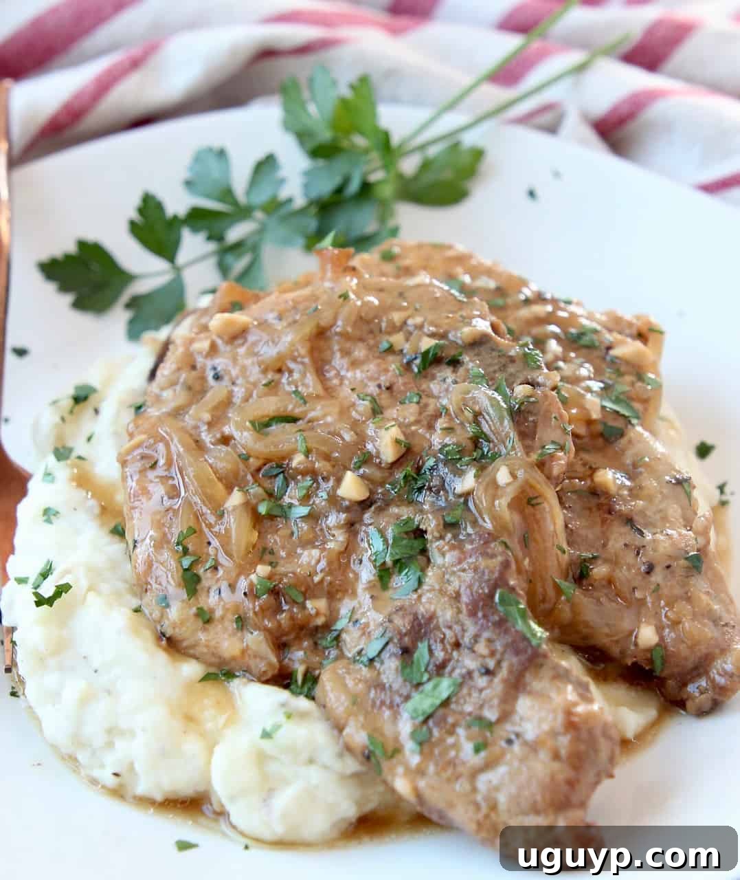 two pork chops stacked on top of each other on plate with mashed potatoes