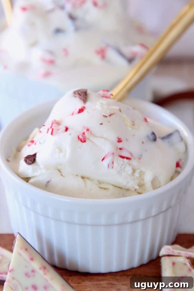 ice cream scoop in small white bowl with gold spoon