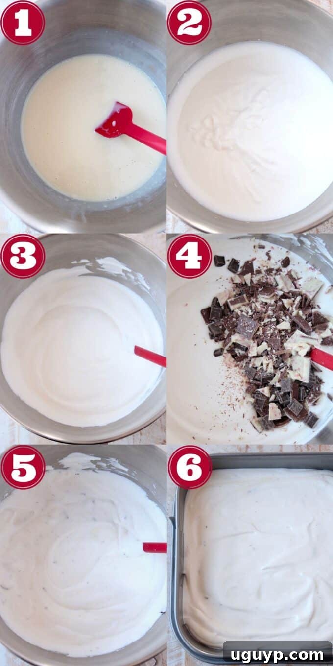 collage of images showing how to make peppermint bark ice cream