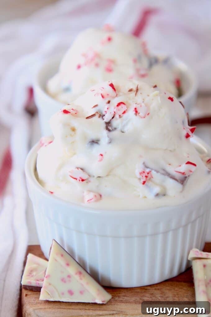 Scoops of peppermint bark ice cream in white bowl