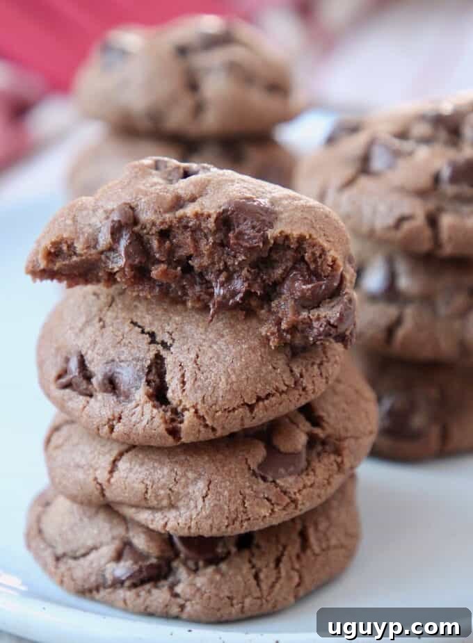 Irresistible double chocolate chip cookies stacked high on a plate, showcasing their perfect texture and gooey chocolate chips.