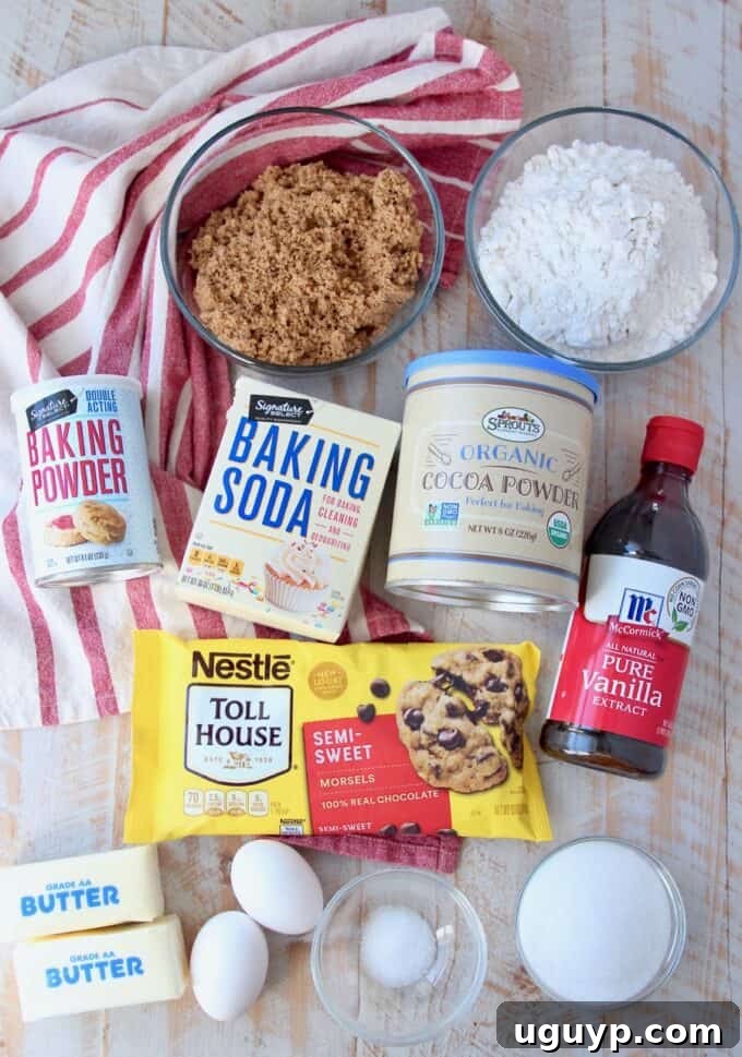 A beautifully arranged display of all the essential ingredients needed for baking double chocolate chip cookies.
