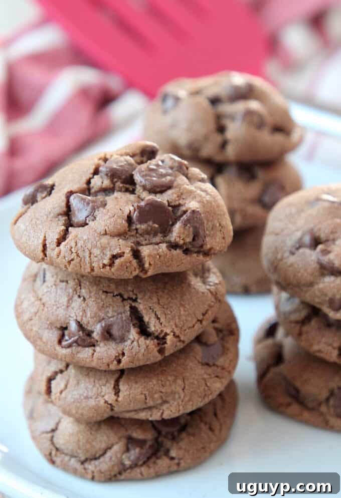 Freshly baked and stacked double chocolate chip cookies on a plate, highlighting their perfect golden edges and deep chocolate color.