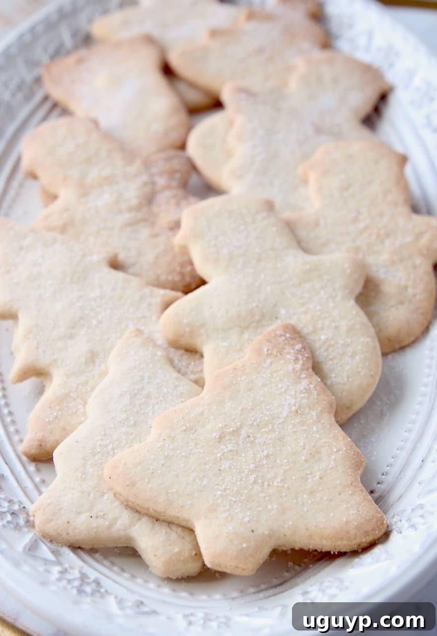 gluten free cut out sugar cookies on plate