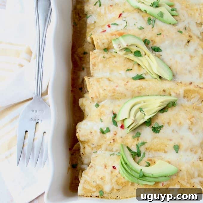 An overhead view of a casserole dish brimming with golden-baked Chicken Enchiladas, generously topped with a vibrant green creamy avocado sauce and fresh avocado slices, ready to be served.