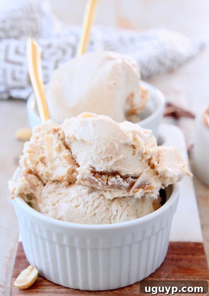 Two bowls of luscious No Churn Peanut Butter Ice Cream, each with generous scoops and a visible peanut butter swirl, served with elegant gold spoons, highlighting its rich and creamy texture.