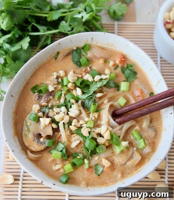 An inviting overhead shot of a bowl of Thai Noodle Soup with Peanut Sauce, garnished with fresh diced green onions and cilantro, showcasing its rich broth, noodles, and colorful vegetables.