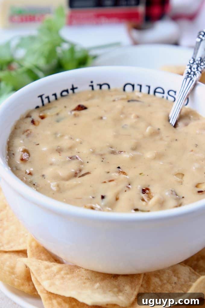 A rustic bowl filled with creamy French Onion Dip Queso, surrounded by an assortment of crispy tortilla chips, perfect for dipping and sharing at a casual get-together.