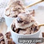 scoops of moose tracks ice cream in white bowls with gold spoons