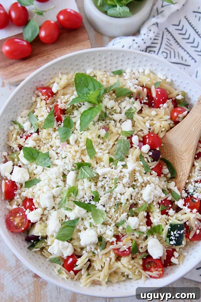 A refreshing bowl of Greek orzo salad, garnished with fresh herbs, ready to be served at a summer gathering.