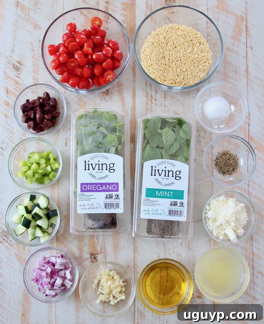 A colorful array of fresh ingredients for Greek Orzo Salad, including tomatoes, cucumbers, olives, and herbs.