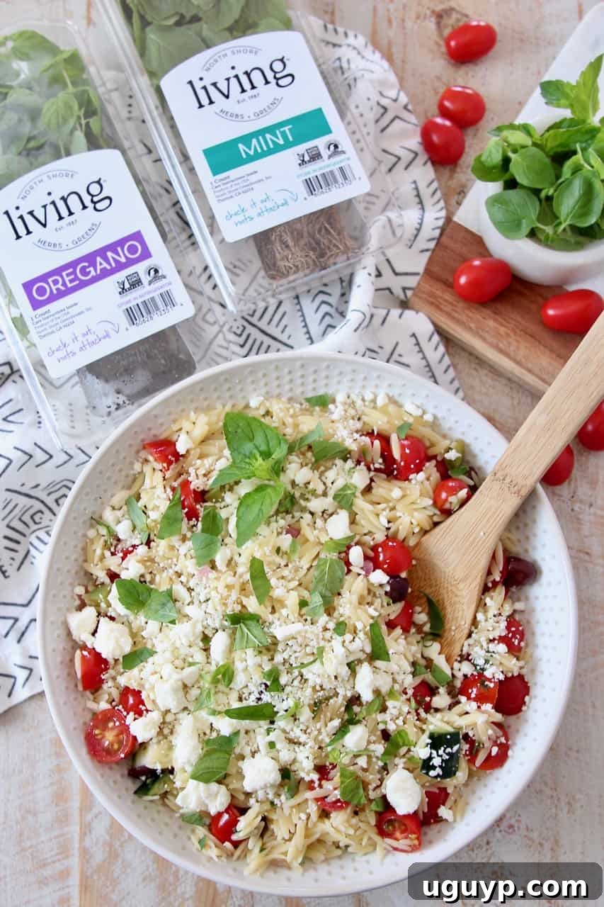A vibrant Greek Orzo Salad in a bowl, surrounded by fresh herbs and grape tomatoes, showcasing its fresh appeal.