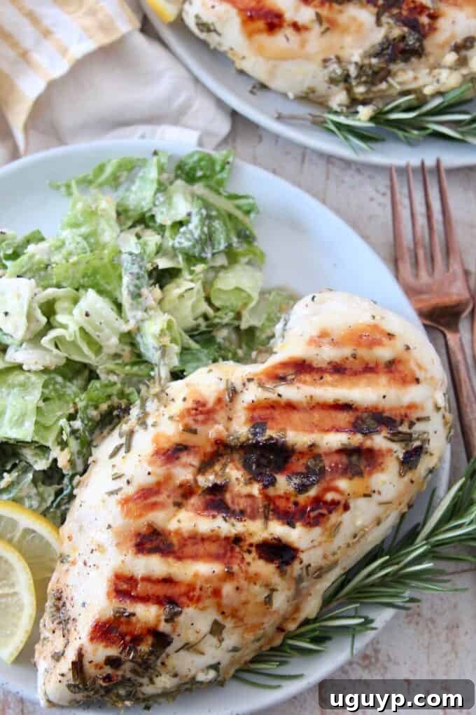 overhead image of grilled chicken breast on plate with salad