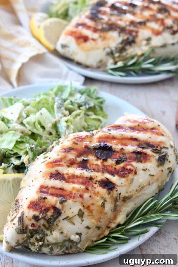 Grilled chicken breast on plate with salad