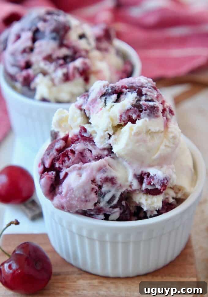 Two white bowls filled with scoops of homemade Cherry Garcia ice cream, garnished with fresh cherries.
