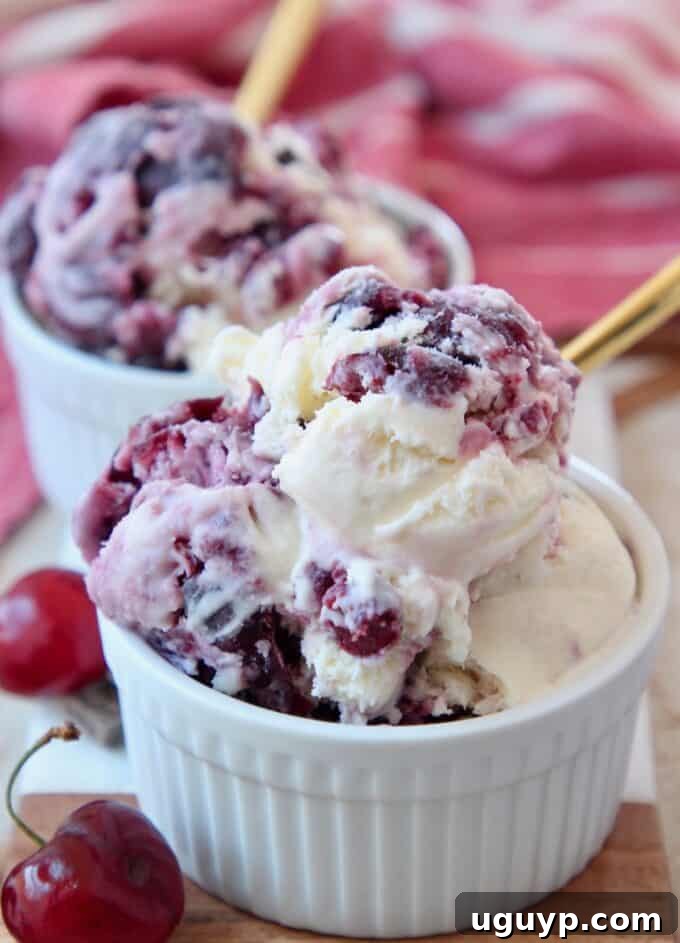 A close-up shot of a scoop of homemade Cherry Garcia ice cream in a white bowl with a gold spoon.
