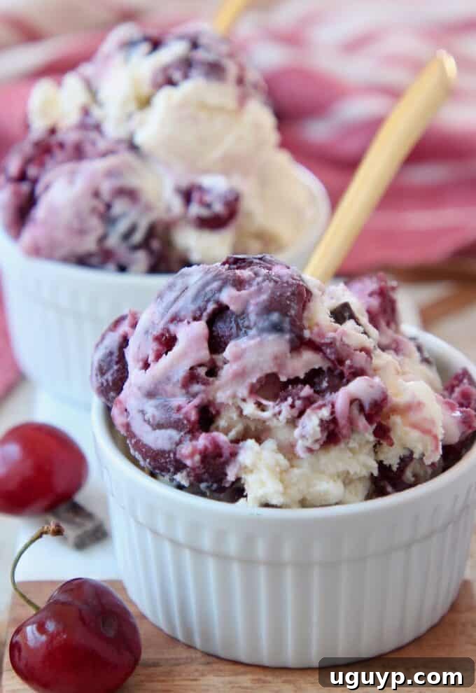 Several white bowls filled with scoops of cherry chocolate chunk ice cream, each with a gold spoon.