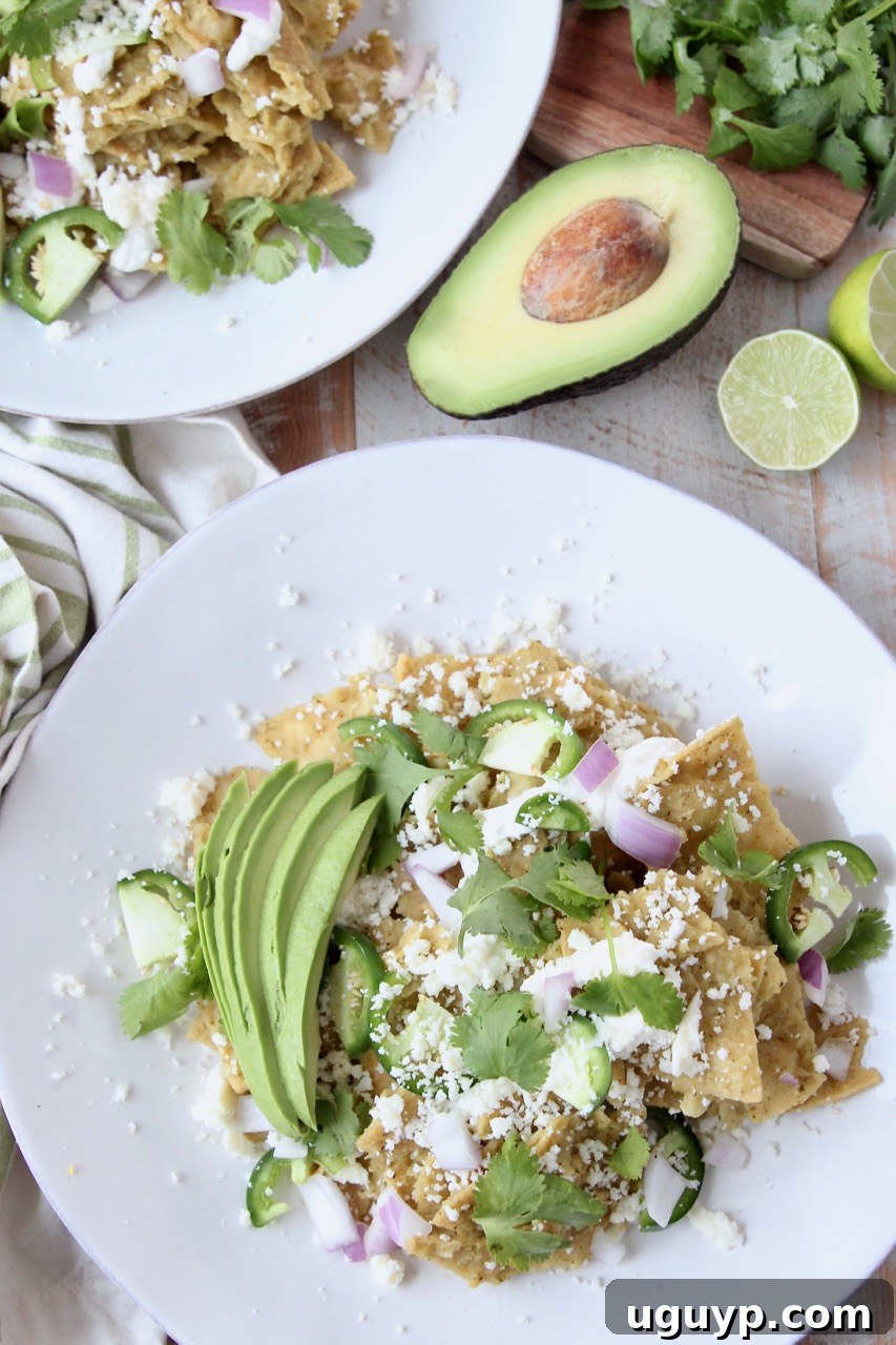 chilaquiles on plate topped with cilantro and avocado