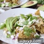 chilaquiles verdes on white plate topped with fresh cilantro and sliced avocado