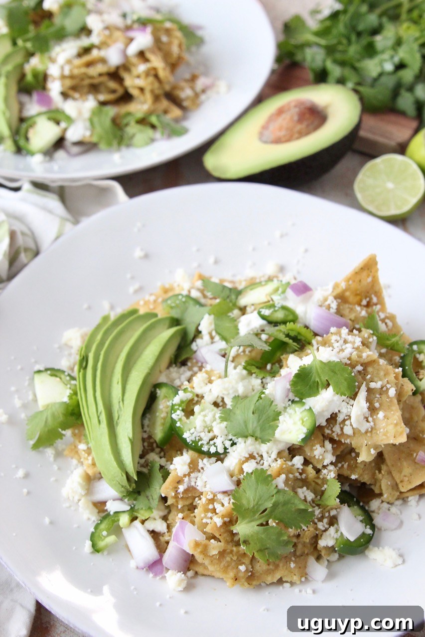 chilaquiles verdes on plate topped with cilantro and cotija cheese