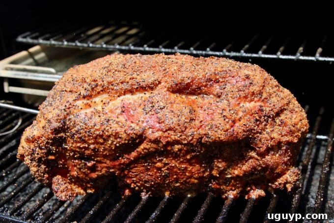 A perfectly seasoned pork shoulder resting on a grill, ready for smoking or grilling.