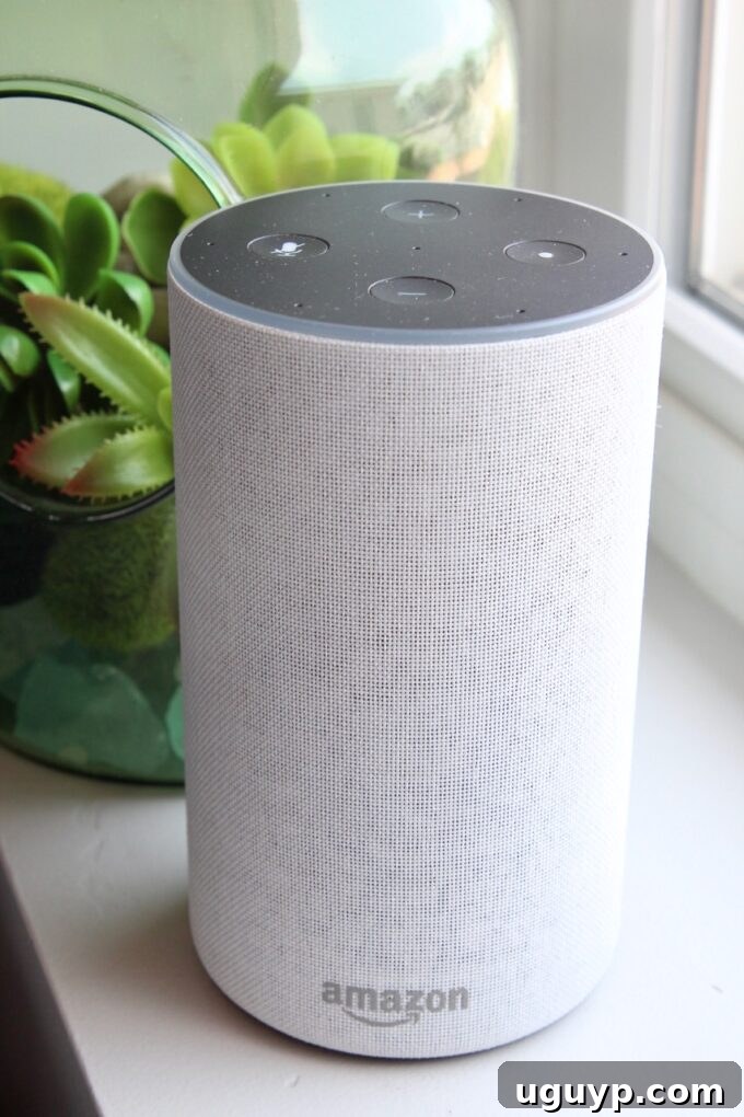 An Amazon Alexa Echo device sitting on a windowsill, ready for voice commands in a smart kitchen setting.