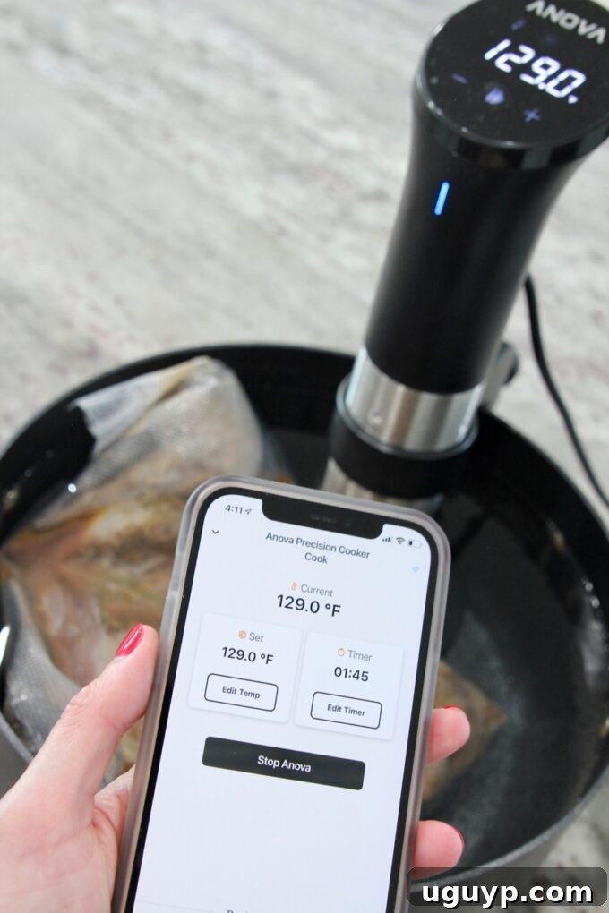 A smartphone displaying the app for a sous vide device, positioned in front of the sous vide attached to a pot.