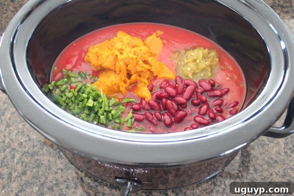 pumpkin puree, vegetables, beans and tomato sauce in slow cooker