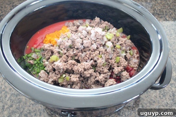 ground beef with vegetables and tomato sauce in slow cooker