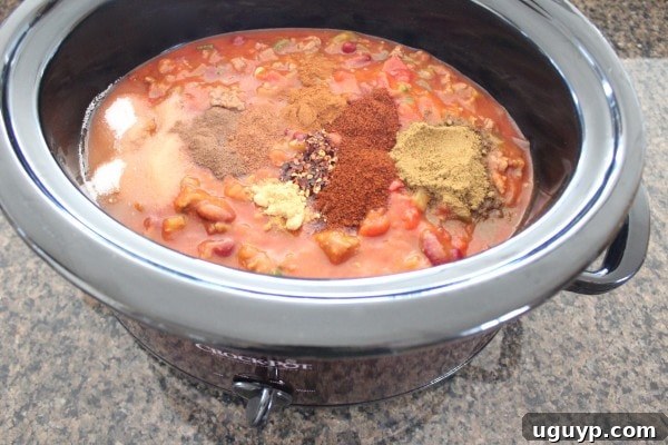 spices on top of chili in slow cooker