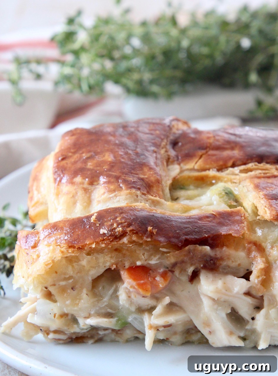 sliced of chicken pot pie on plate