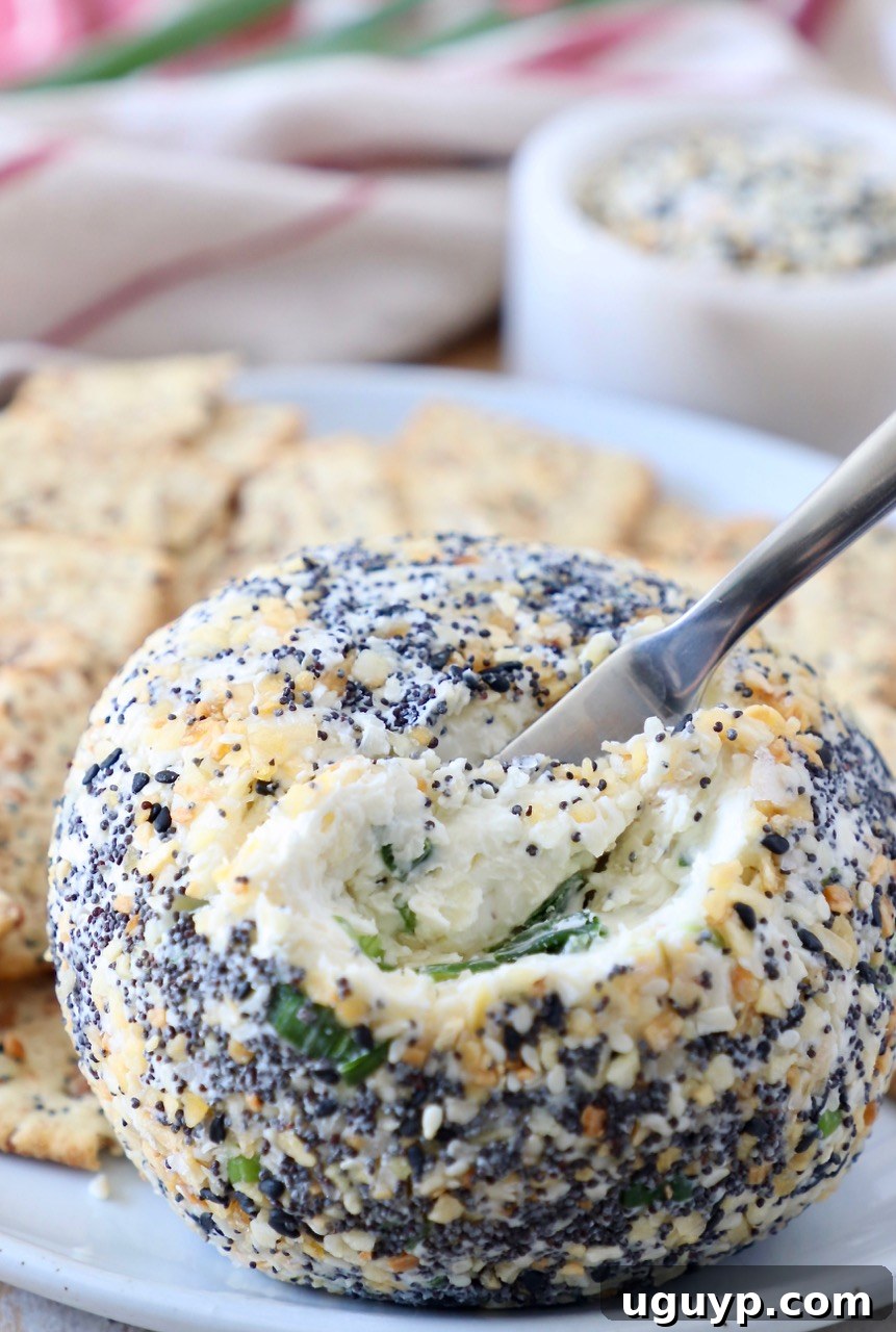 A perfectly formed Everything Bagel Cheddar Cheese Ball, ready to be served with crackers.