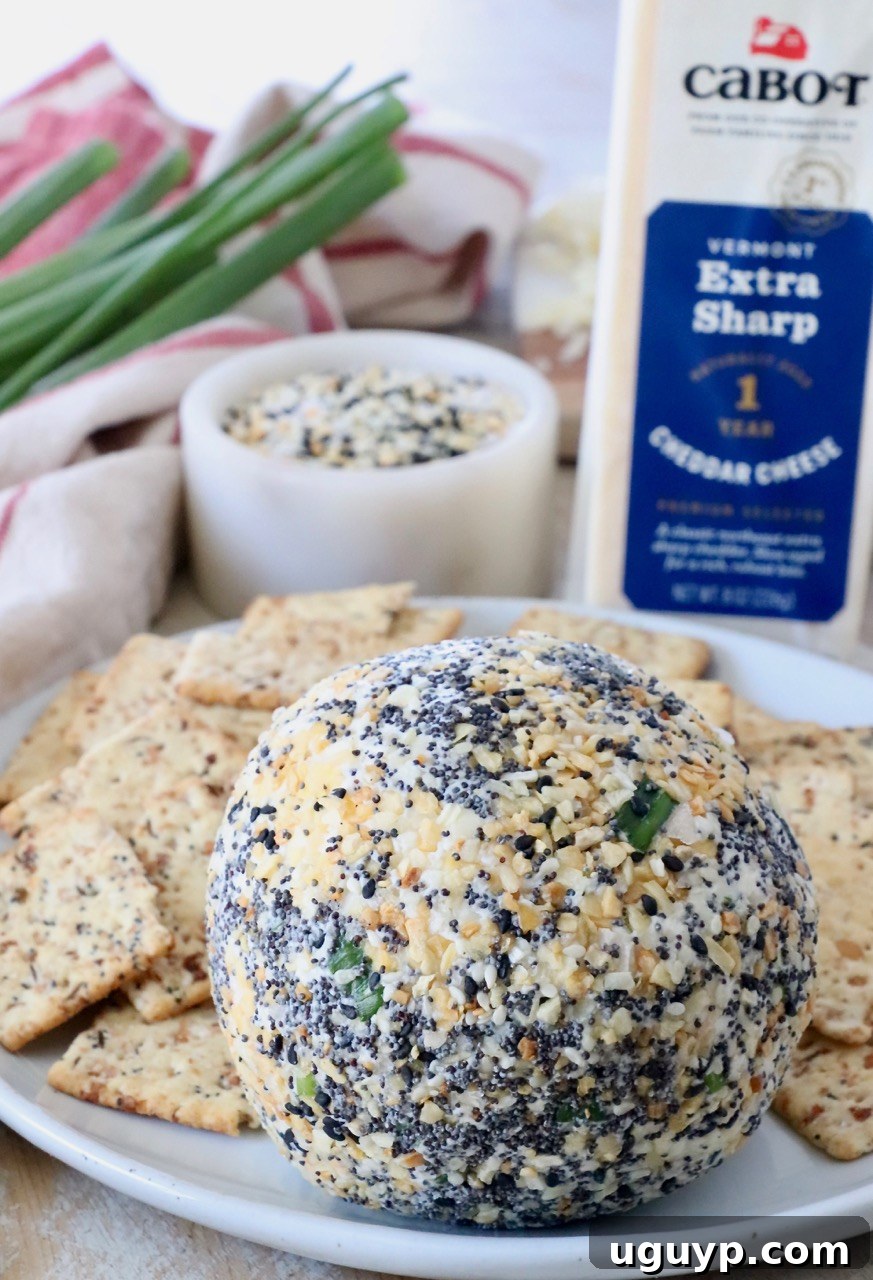 A beautifully presented Everything Bagel Cheddar Cheese Ball on a plate with an assortment of crackers, ready for guests.