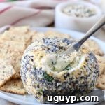 A close-up of a cheese ball with a cheese spreader, surrounded by crackers, on a plate.