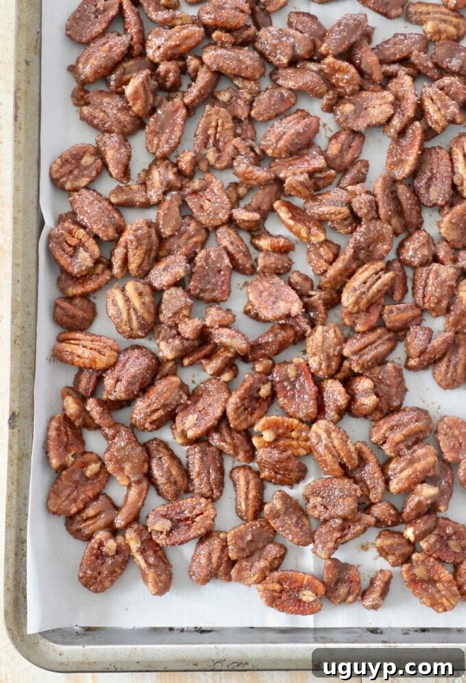 sugar coated pecans spread out on baking sheet