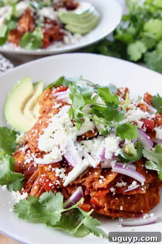 A plate of vibrant Chilaquiles Rojos, generously topped with fresh cilantro and thinly sliced red onion.