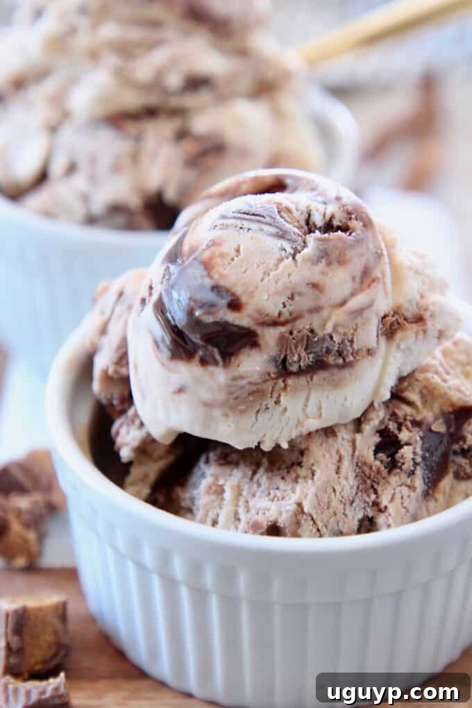 Several scoops of creamy Moose Tracks ice cream, rich with hot fudge swirls and peanut butter cup chunks, in a small white bowl.
