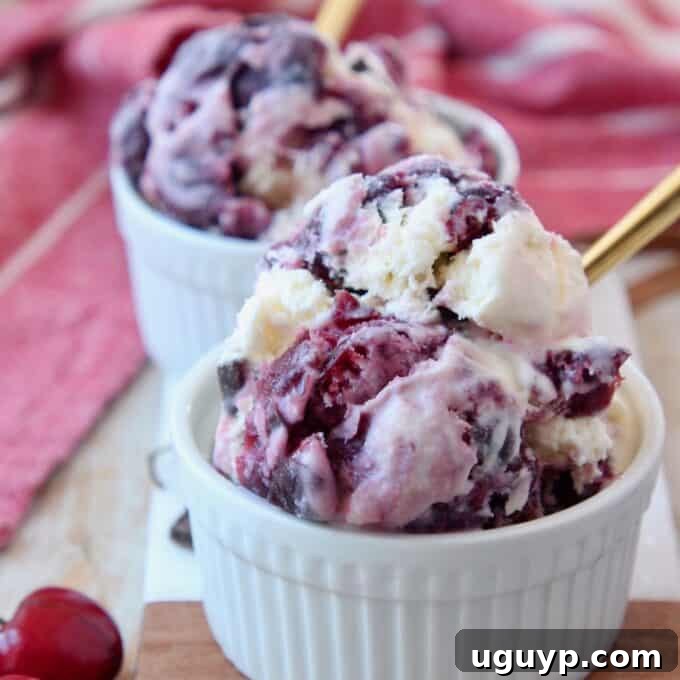Scoops of rich cherry ice cream swirled with dark chocolate chunks in a bowl, accompanied by a gold spoon.