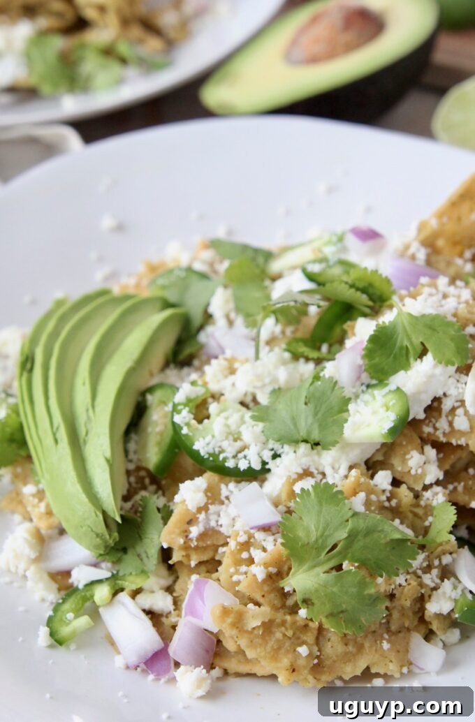 A plate of savory Chilaquiles Verdes topped with fresh cilantro, diced red onion, and creamy avocado slices.