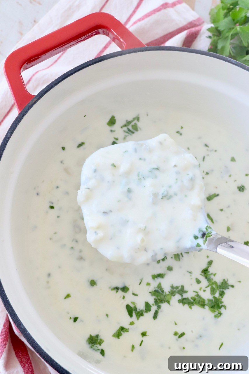 A large pot of creamy potato soup with a ladle resting inside, ready to be served, capturing the warmth and comfort of a homemade meal.