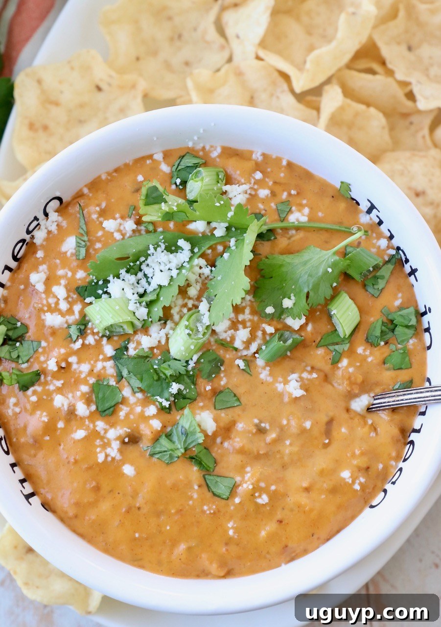 Delicious green chili chorizo queso dip in a bowl, garnished with fresh cilantro and vibrant green onions, ready to be served at a party or on Taco Tuesday