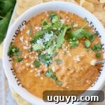 chorizo queso dip in bowl topped with fresh chopped cilantro