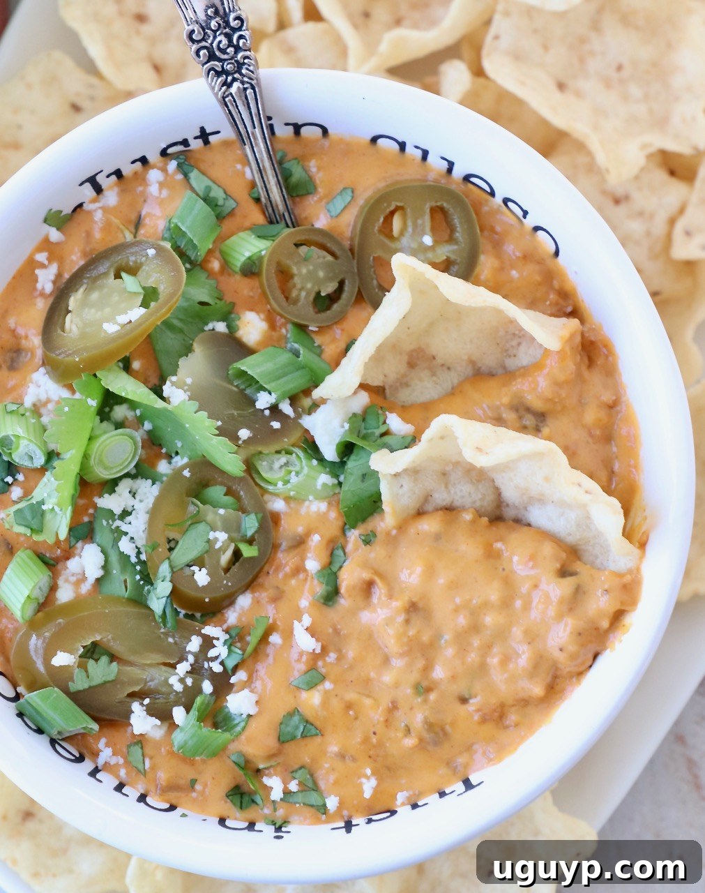 Green chili chorizo queso dip in a white bowl, surrounded by crispy tortilla chips and vibrant sliced jalapeños, ready for dipping