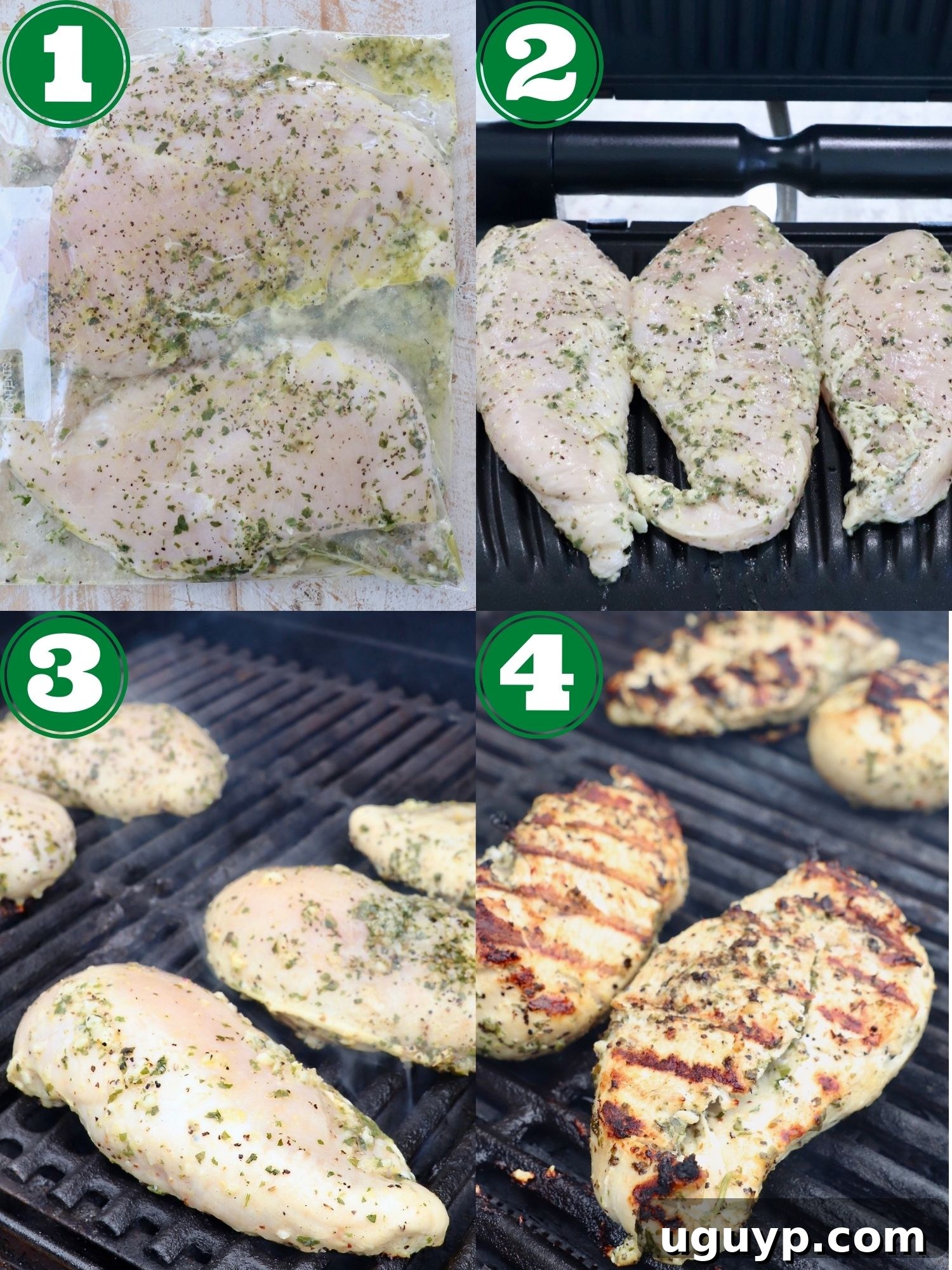 A step-by-step collage demonstrating how to prepare and grill marinated Greek chicken, showing the marinade in a bowl, chicken in marinade, and chicken cooking on a grill.