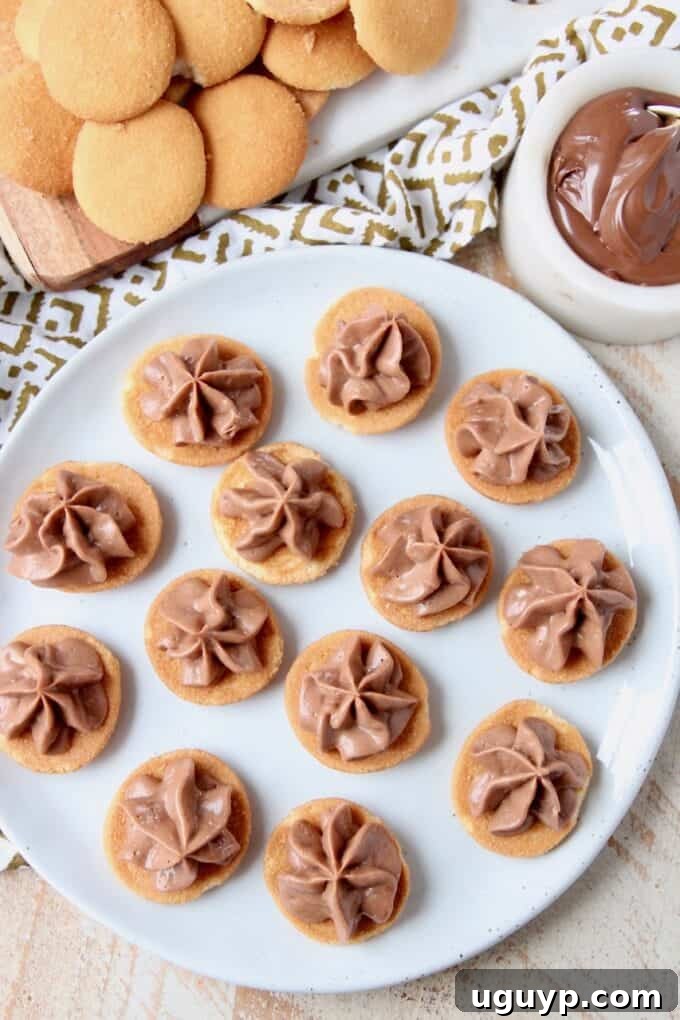 Overhead image of mini nutella cheesecake bites on plate