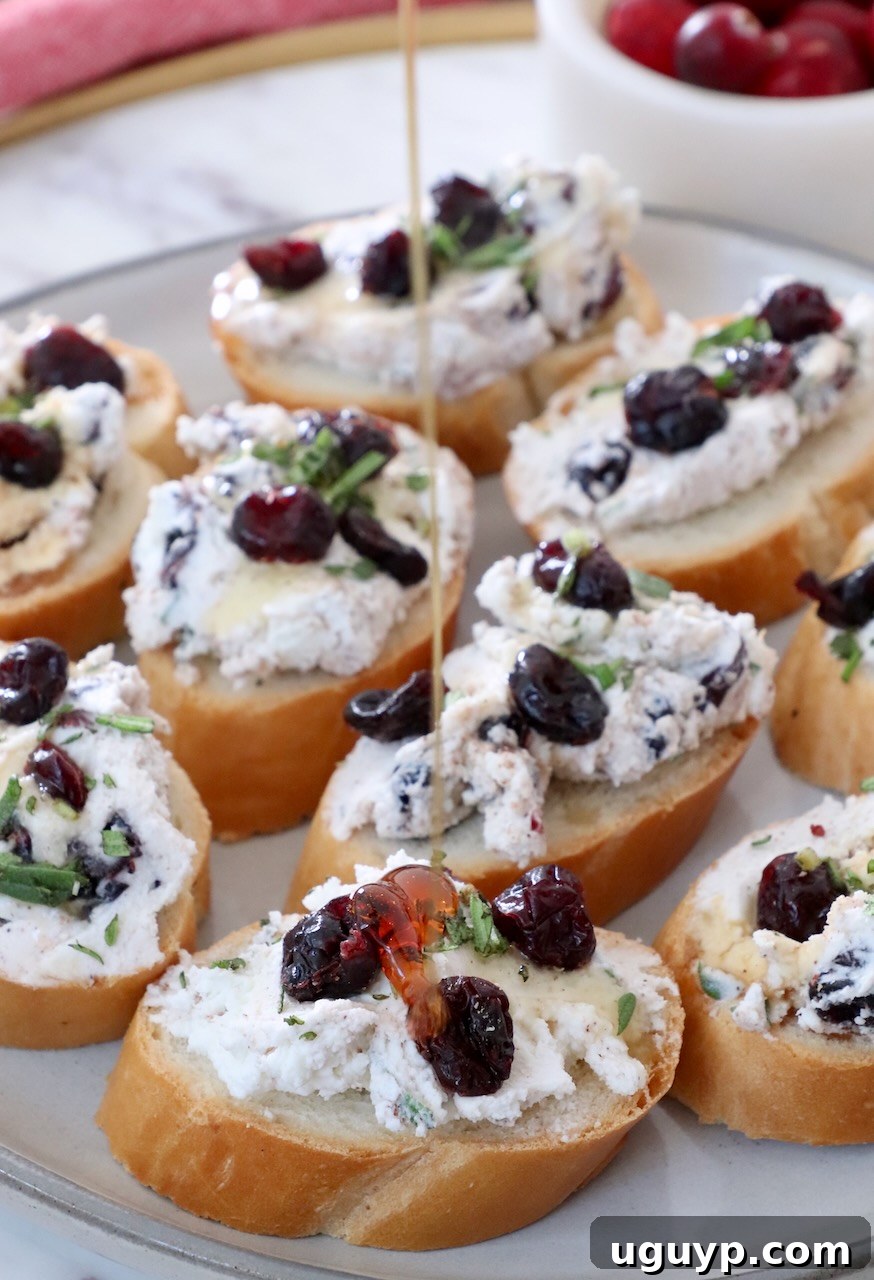 Honey drizzling over cranberry goat cheese crostini on a plate, garnished with fresh rosemary.