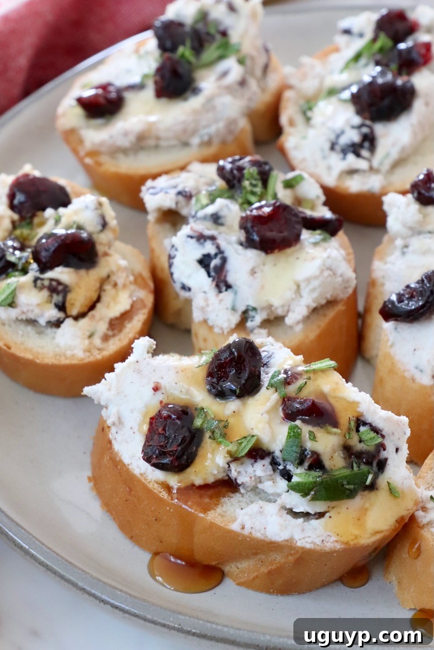 Cranberry goat cheese crostini on a white serving plate, beautifully garnished with fresh rosemary and a generous drizzle of honey.